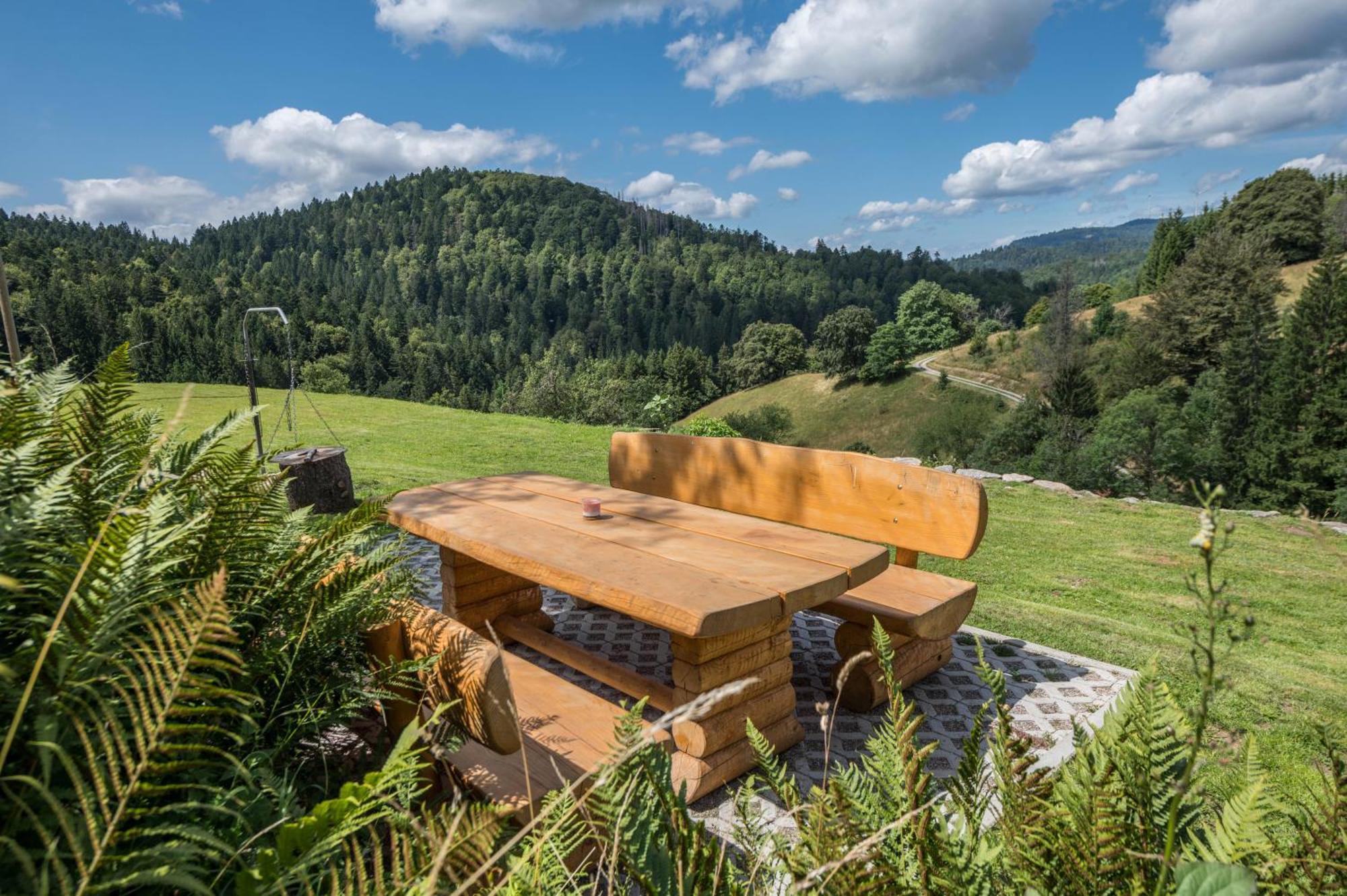 Villa Ferien Alm Alfret Herrischried Exterior foto